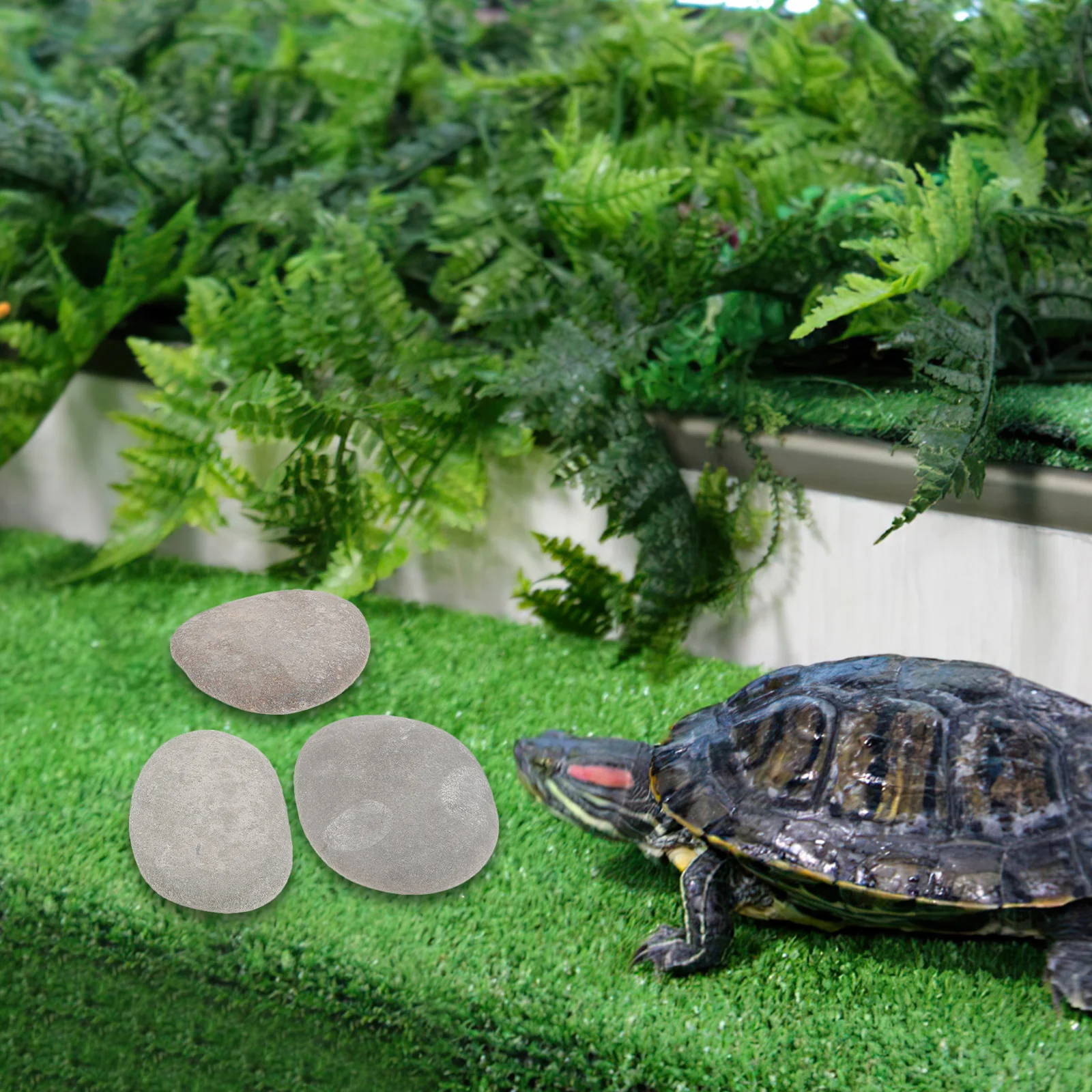 3Pcs Aquarium Basking Platform Stones for Turtles Natural Decor Reptile Resting Climbing Surface Fish Tank Accessories
3Pcs Aquarium Basking Platform Stones for Turtles Natural Decor Reptile Resting Climbing Surface Fish Tank Accessories