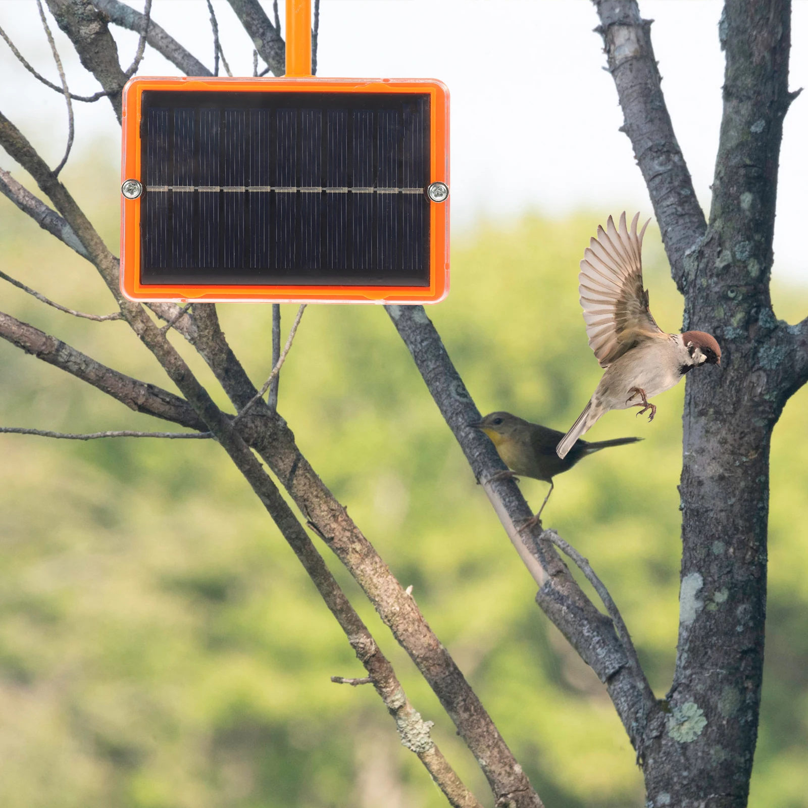 Voice Box Bird Reflective Repellent Electronic Birds Premium Material Repeller Solar Powered
Voice Box Bird Reflective Repellent Electronic Birds Premium Material Repeller Solar Powered