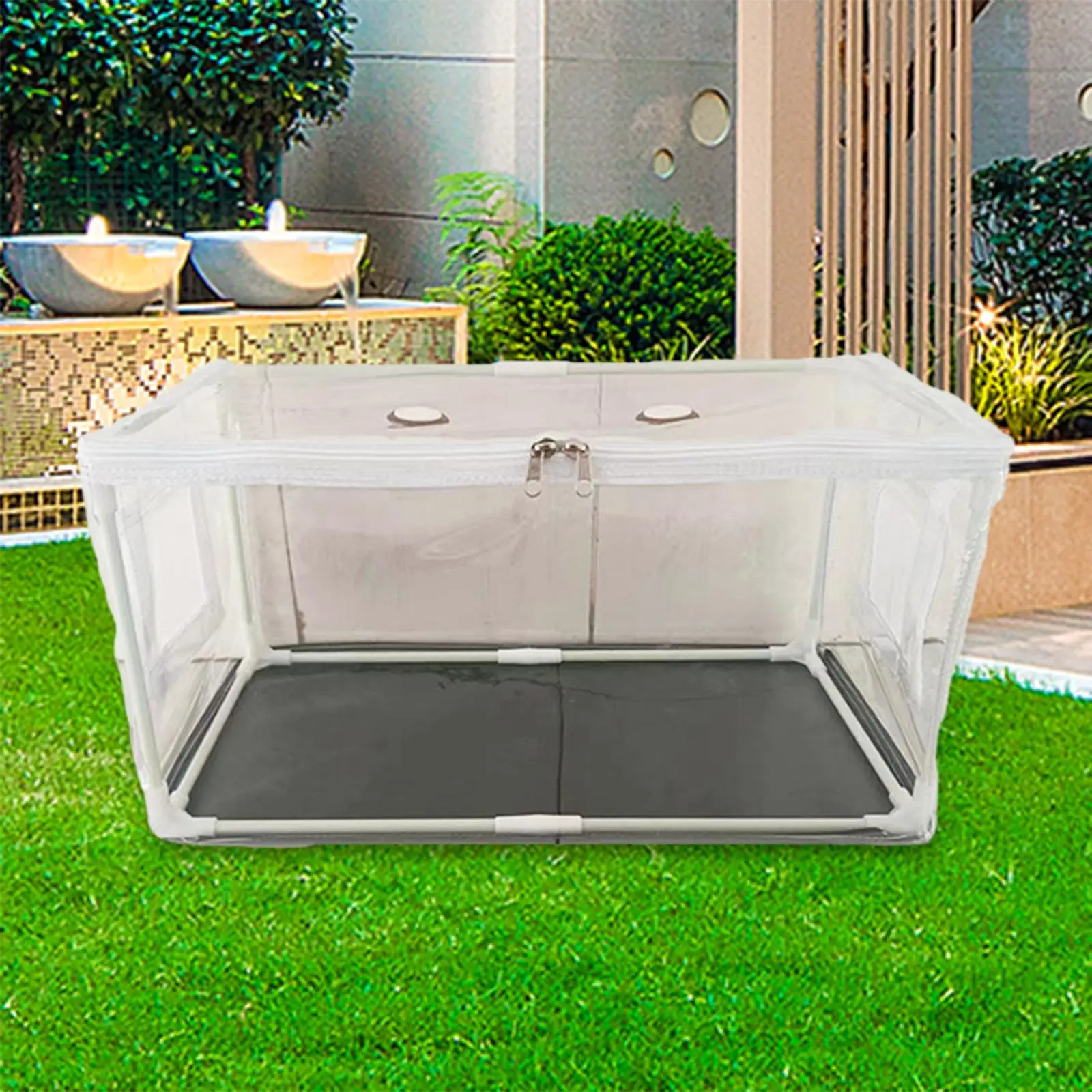 Mushroom Planting Container DIY Kit Clear Cover Indoor Space Saving 20x10x10inch
Mushroom Planting Container DIY Kit Clear Cover Indoor Space Saving 20x10x10inch