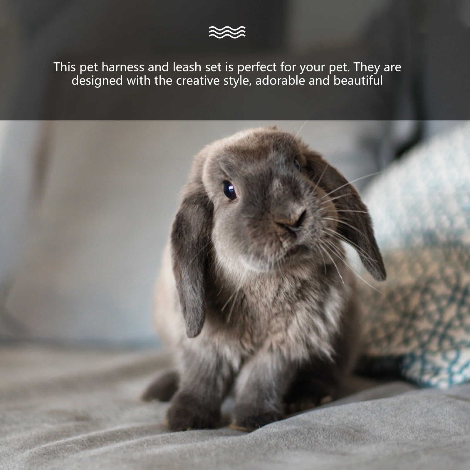 Bunny Vest Harness Leash Set for Rabbit Ferret Guinea Pig Hamster Iguana Rats Small Pet Walking Outdoor Play Exercise Wedding
Bunny Vest Harness Leash Set for Rabbit Ferret Guinea Pig Hamster Iguana Rats Small Pet Walking Outdoor Play Exercise Wedding