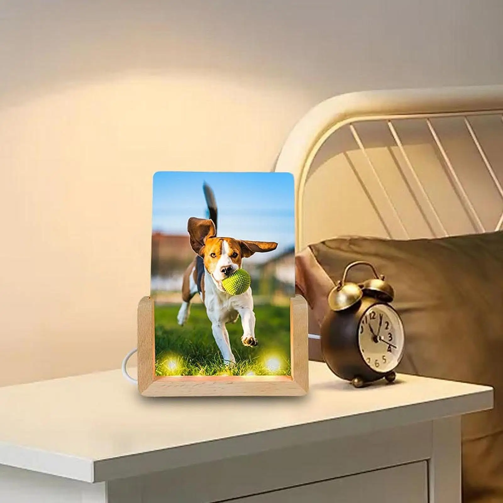 Сублимационные ночные огни, пустая светодиодная деревянная подставка, светильник, держатель для ювелирных изделий, декор стола
Сублимационные ночные огни, пустая светодиодная деревянная подставка, светильник, держатель для ювелирных изделий, декор стола