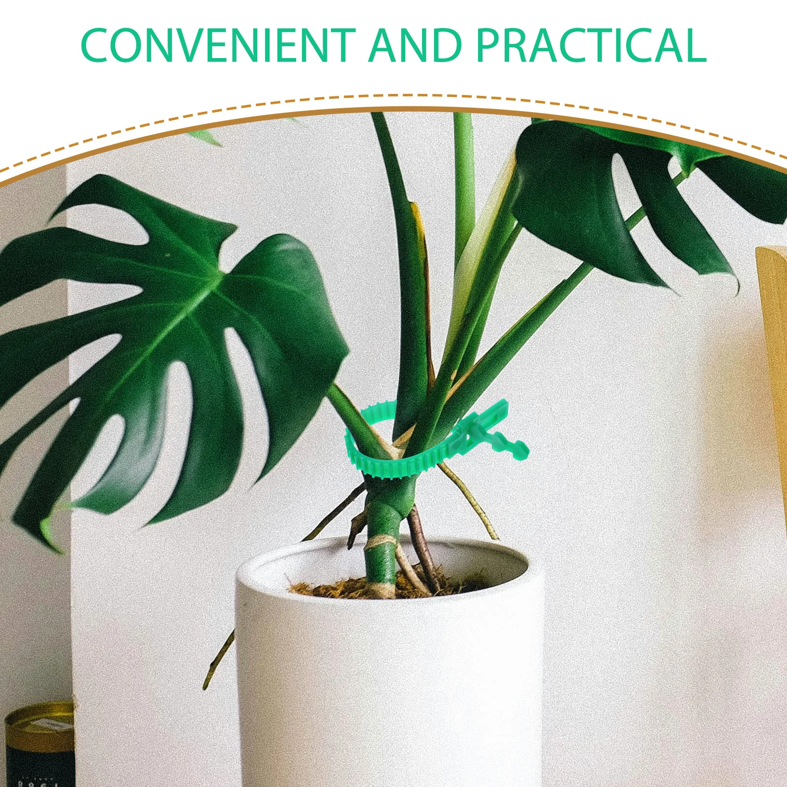 8pcs Plant Zip Ties Heavy Duty Garden Tree Straps Support For Windproof Tree Fixing Adjustable Stem Fastener Shrubs Branches
8pcs Plant Zip Ties Heavy Duty Garden Tree Straps Support For Windproof Tree Fixing Adjustable Stem Fastener Shrubs Branches