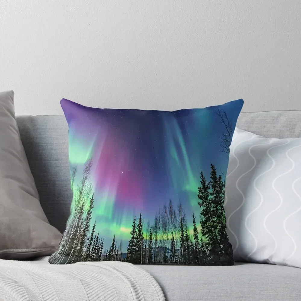 Northern Paradise Collection Throw Pillow christmas pillowcases Decorative Cushions Bed pillowcases pillow
Northern Paradise Collection Throw Pillow christmas pillowcases Decorative Cushions Bed pillowcases pillow