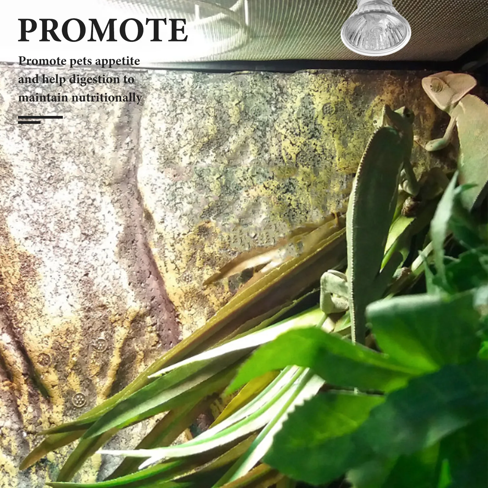 3Pcs Reptile Light Bulb for Turtles and Lizards Heating Emitter for Warmth Production Supports Gecko
3Pcs Reptile Light Bulb for Turtles and Lizards Heating Emitter for Warmth Production Supports Gecko