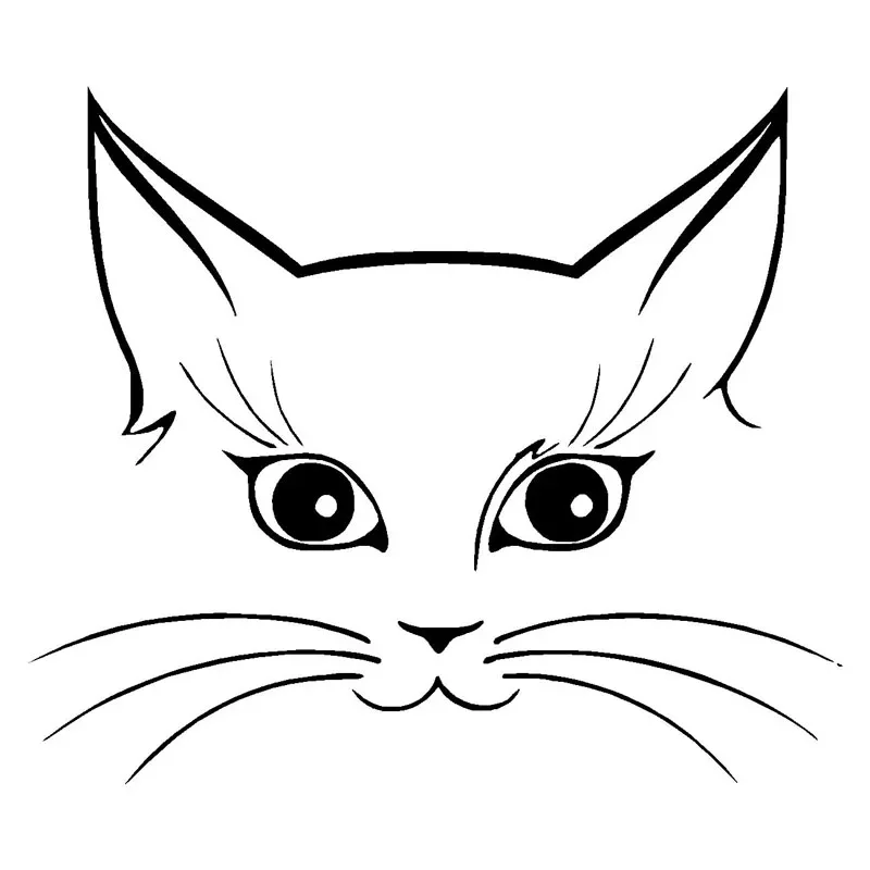 JPCT Cute Cat Face Stickers for Scratching Vinyl Stickers on Waterproof Lids of Cars, Suitcases, and Laptops 14cmx12cm
JPCT Cute Cat Face Stickers for Scratching Vinyl Stickers on Waterproof Lids of Cars, Suitcases, and Laptops 14cmx12cm