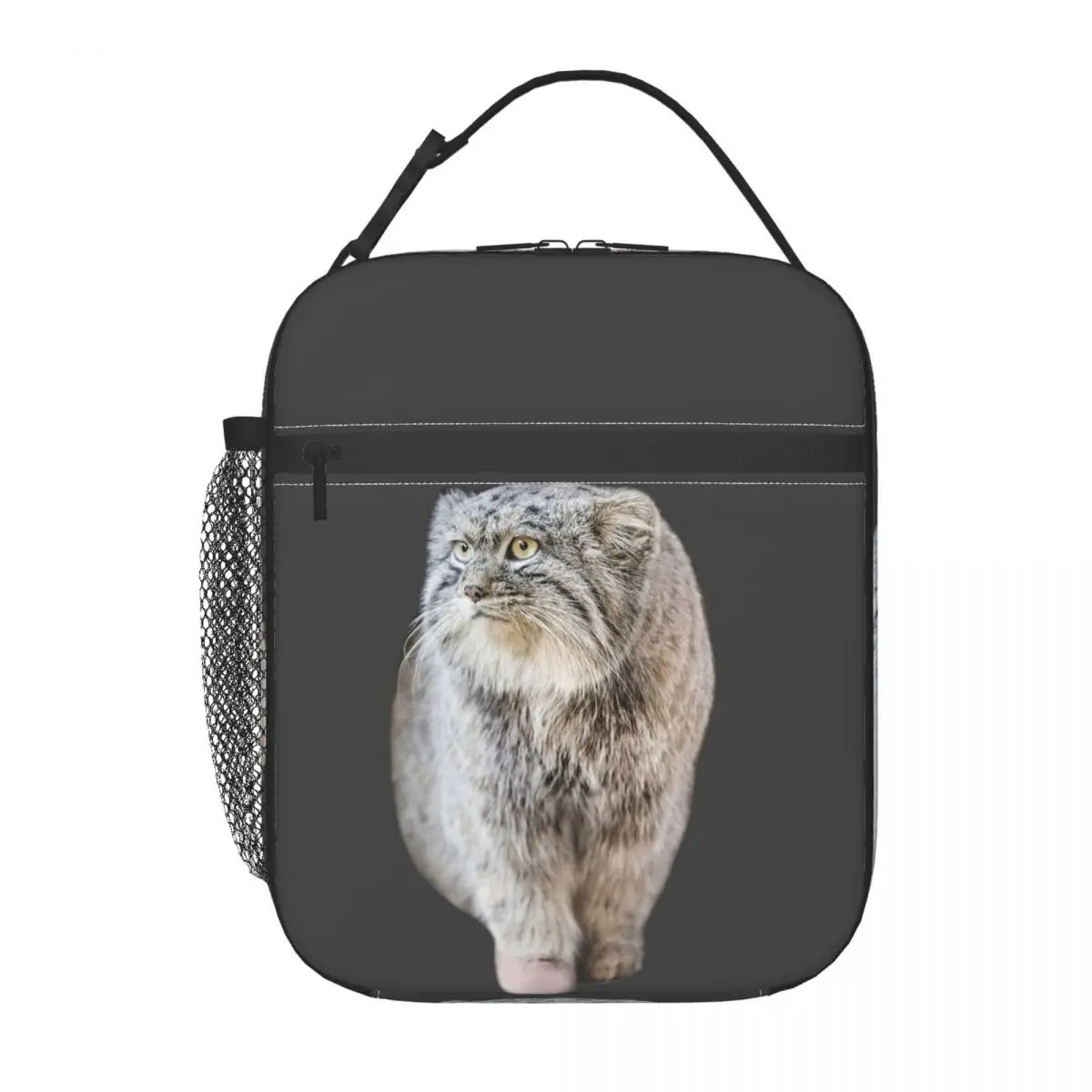 Круглая термосумка для обедов Round Pallas Cat для женщин и детей, портативная термосумка для еды, термосумка-тоут
Круглая термосумка для обедов Round Pallas Cat для женщин и детей, портативная термосумка для еды, термосумка-тоут