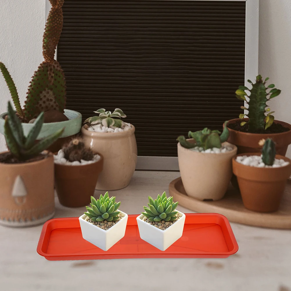 5pcs Plastic Flower Pot Tray Rectangle Plant Drip Tray Water Catcher For Garden Bonsai Planter Shallow Saucer Under
5pcs Plastic Flower Pot Tray Rectangle Plant Drip Tray Water Catcher For Garden Bonsai Planter Shallow Saucer Under