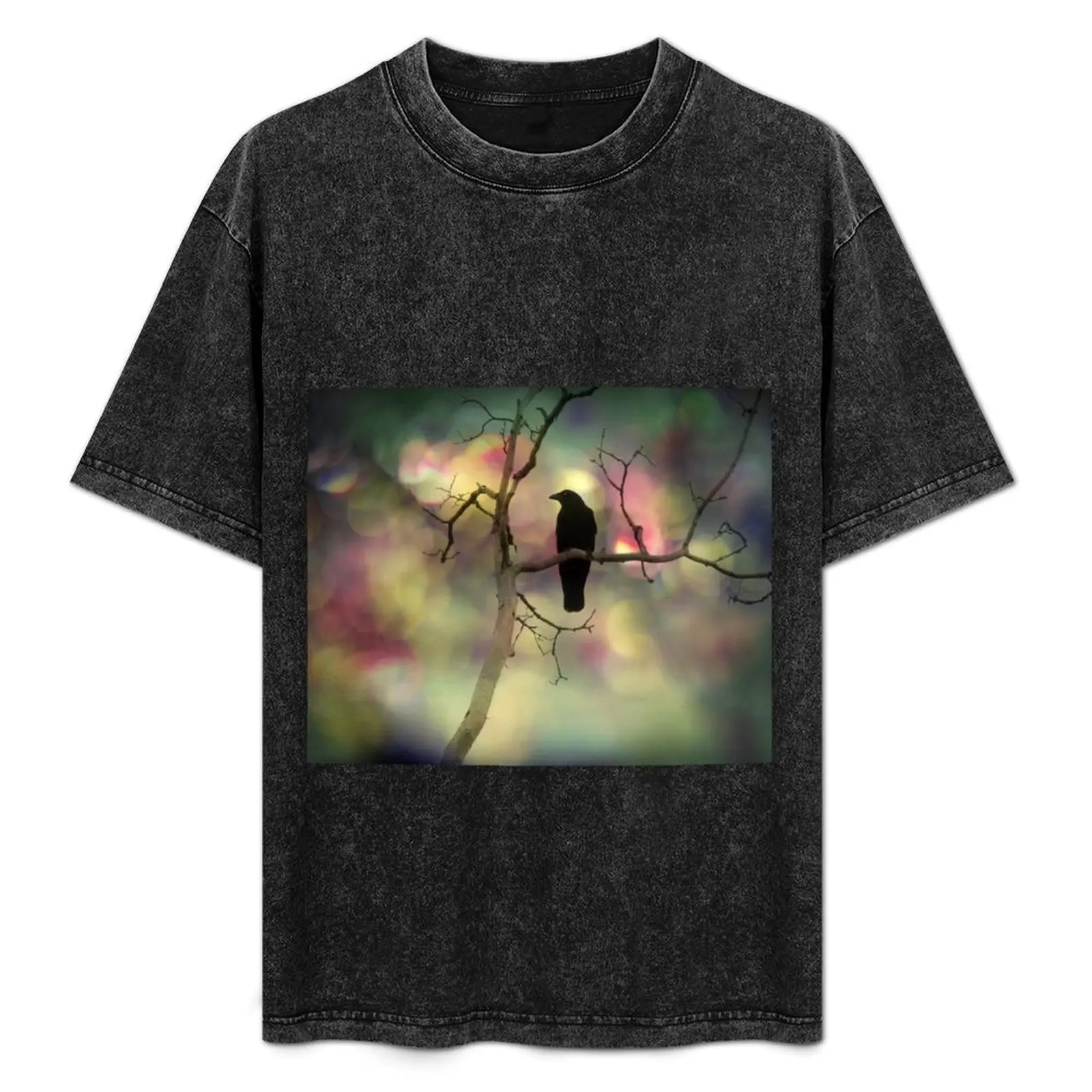 Glowing Lights And Crow T-Shirt Dry Fit Running Short Sleeve Top
Glowing Lights And Crow T-Shirt Dry Fit Running Short Sleeve Top