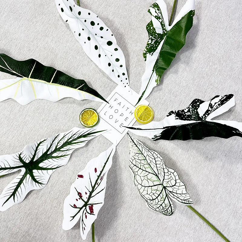 Artificial flower decoration new product Begonia leaves colorful taro leaves shopping mall window red rose wedding display green
Artificial flower decoration new product Begonia leaves colorful taro leaves shopping mall window red rose wedding display green