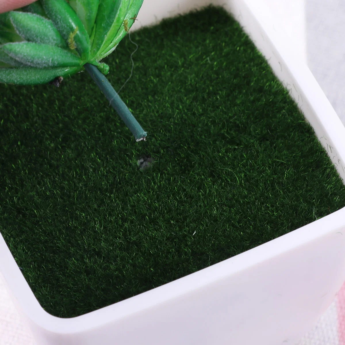 Artificial Plastic Flower Pot Square Pots Fake Flowers Moss Vase Home Car Decoration Teaching Growing Plants School Projects
Artificial Plastic Flower Pot Square Pots Fake Flowers Moss Vase Home Car Decoration Teaching Growing Plants School Projects