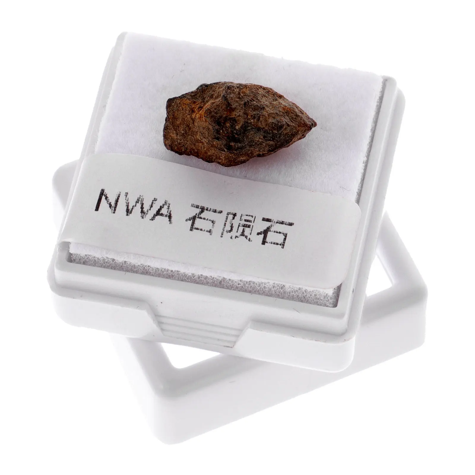 Olive Meteorite Specimen Irregular Stone Scientific Specimen Teaching Tool Classroom Teaching Meteorite Sample Decor
Olive Meteorite Specimen Irregular Stone Scientific Specimen Teaching Tool Classroom Teaching Meteorite Sample Decor