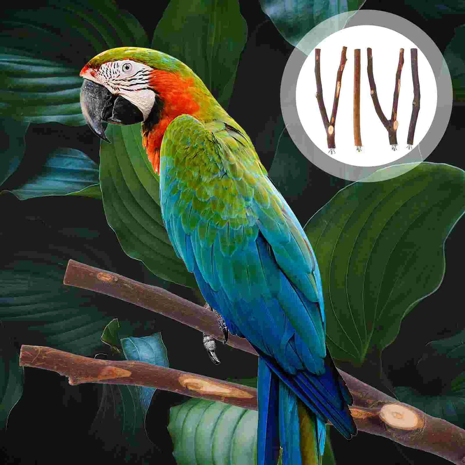 4 Pcs Wooden Bird Perch Sticks for Large Birds Safe Climbing Standing Resting Chewing Toys Parrot Pole Bird Cage
4 Pcs Wooden Bird Perch Sticks for Large Birds Safe Climbing Standing Resting Chewing Toys Parrot Pole Bird Cage