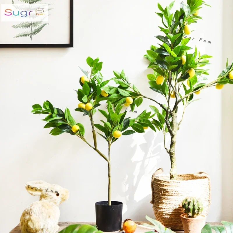 JK Mu Space, Nordic Modern Floor Simulation Lemon Tree Loquat Tree Decorative Plant Ornament
JK Mu Space, Nordic Modern Floor Simulation Lemon Tree Loquat Tree Decorative Plant Ornament