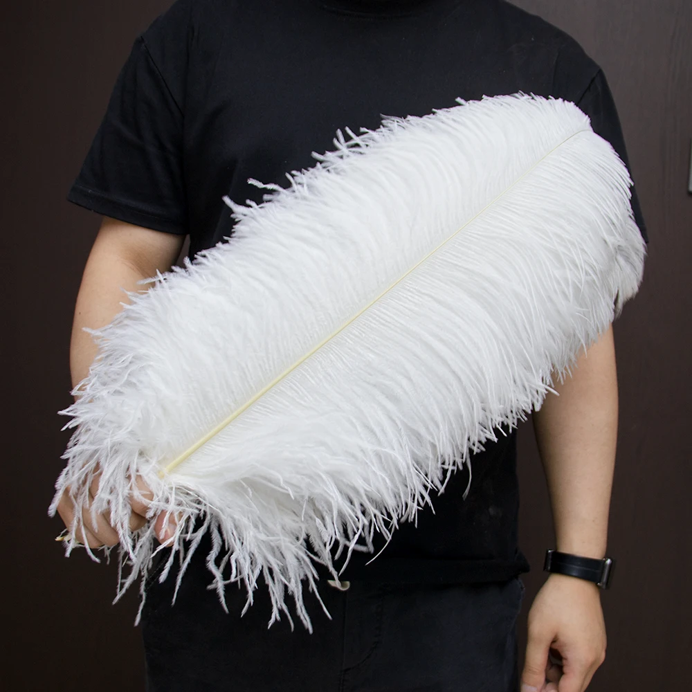 200Pcs White Ostrich Feathers 45-70cm Bluk DIY Wedding Centerpiece Table Decor Craft Plume Jewelry Making Needlework Handicrafts
200Pcs White Ostrich Feathers 45-70cm Bluk DIY Wedding Centerpiece Table Decor Craft Plume Jewelry Making Needlework Handicrafts