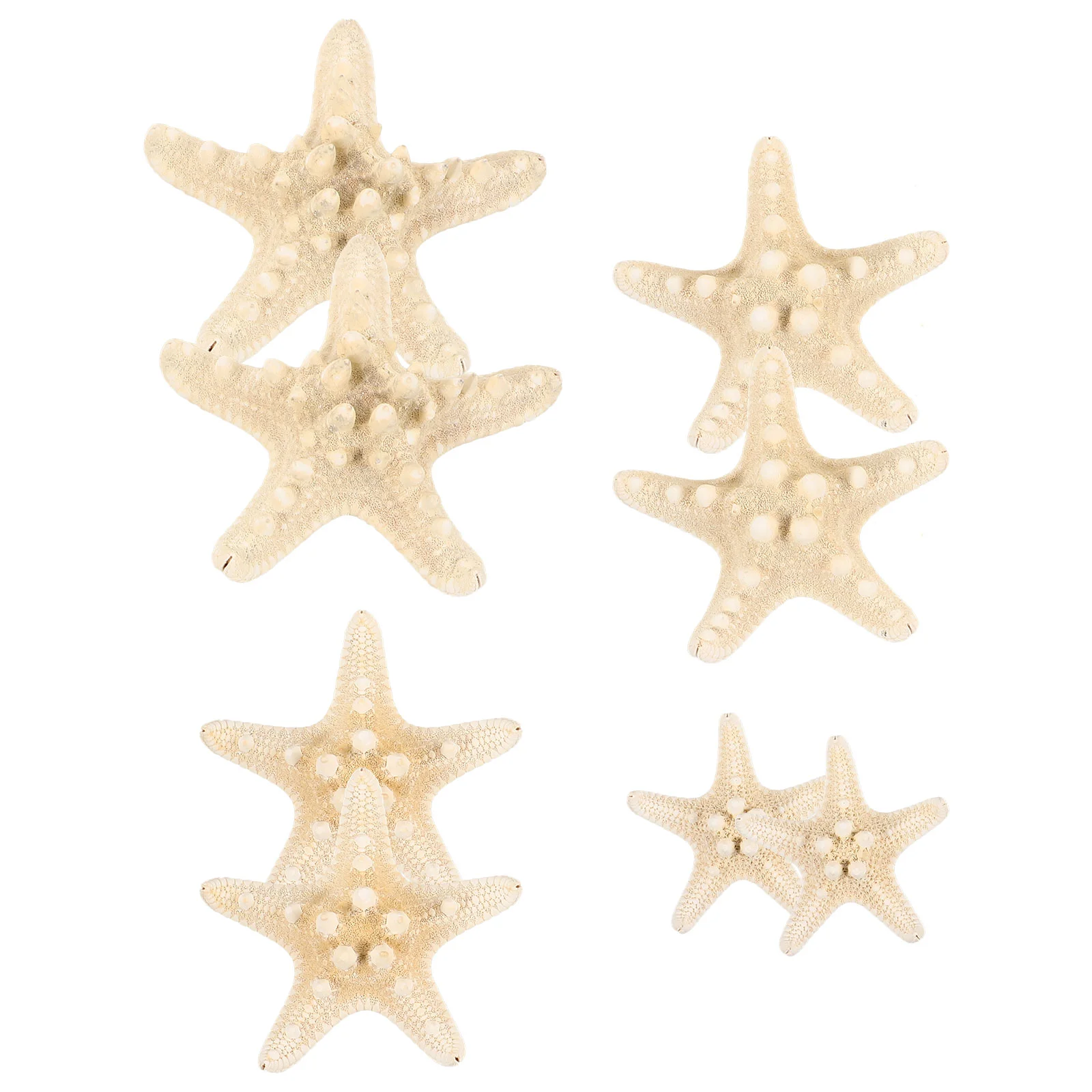 8 Pcs Ornaments Animal Shells for Decoration The Mediterranean Simulation Sea Figurine Models Ocean Creature Figurines
8 Pcs Ornaments Animal Shells for Decoration The Mediterranean Simulation Sea Figurine Models Ocean Creature Figurines