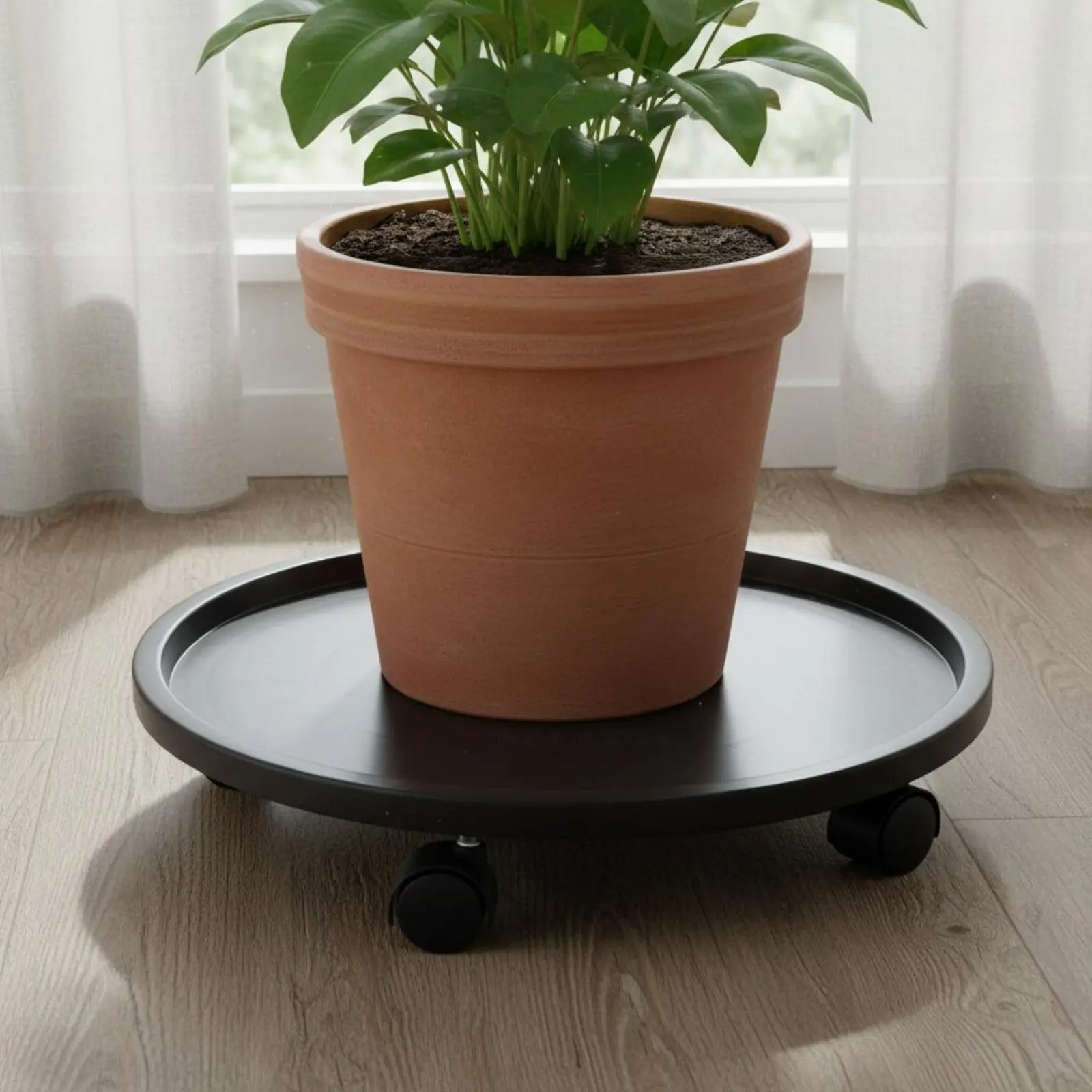 Rolling Plant Tray Easy to Move Round Pot Dolly Rolling Planter Tray Heavy Duty Plant Pot Mover Non-Slip Surface for Balcony
Rolling Plant Tray Easy to Move Round Pot Dolly Rolling Planter Tray Heavy Duty Plant Pot Mover Non-Slip Surface for Balcony