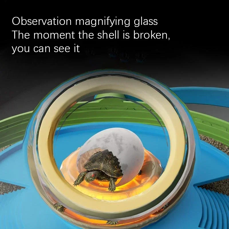 Multifunctional Feeding Box Anti-escape Pet Hatch Chamber Turtle Breeding Incubator Hand-held Portable Terrarium Turtles Habitat
Multifunctional Feeding Box Anti-escape Pet Hatch Chamber Turtle Breeding Incubator Hand-held Portable Terrarium Turtles Habitat