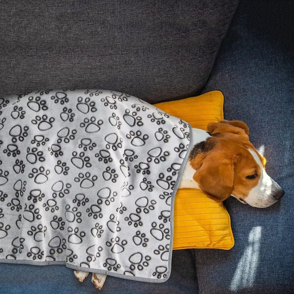 Comfortable Fluffy Dog Blanket Paw Pattern Soft Cat Cover Blanket Large Size Washable Pet Calming Blanket Winter
Comfortable Fluffy Dog Blanket Paw Pattern Soft Cat Cover Blanket Large Size Washable Pet Calming Blanket Winter