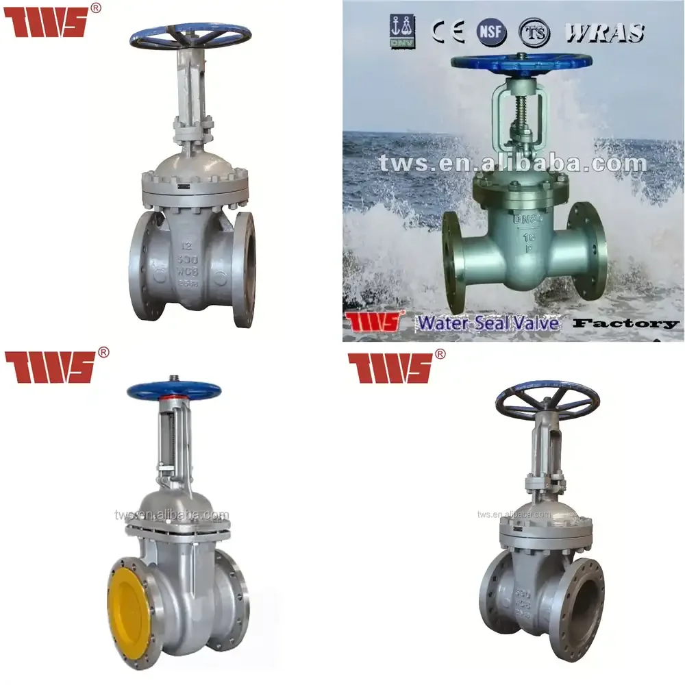 Gate Valve Rising Stem PN16 DN300 Carbon Steel Water Series TWS Standard Manual Valve Control Water General ISO CE Flanged
Gate Valve Rising Stem PN16 DN300 Carbon Steel Water Series TWS Standard Manual Valve Control Water General ISO CE Flanged