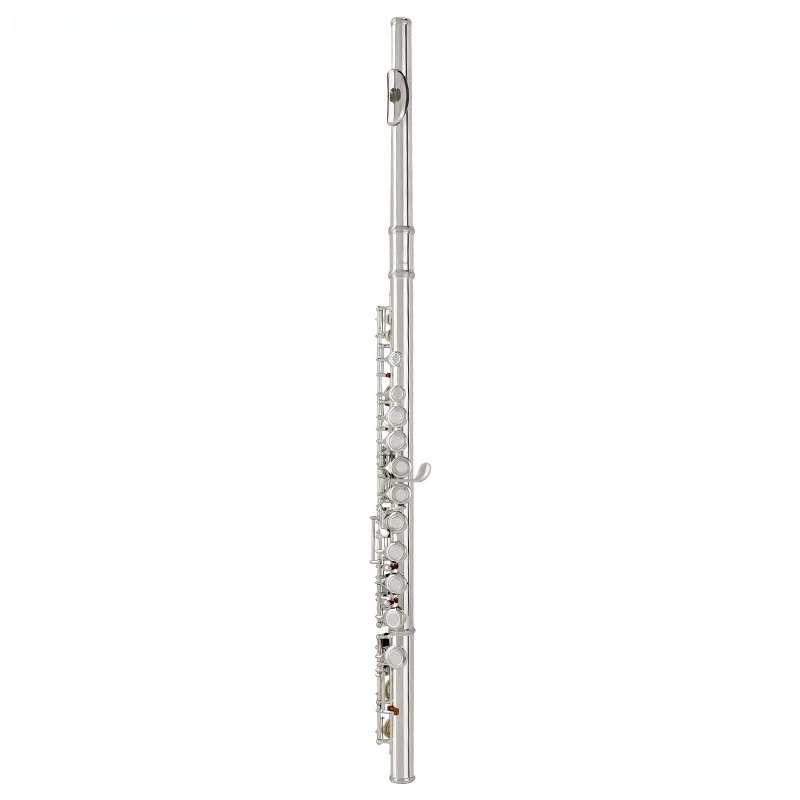 Children's Students Beginners Silver Plated 16 Hole C Key with E Key Flute
Children's Students Beginners Silver Plated 16 Hole C Key with E Key Flute