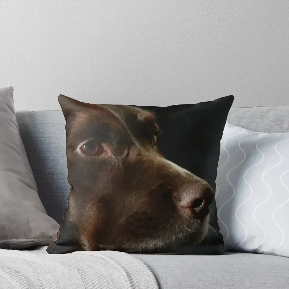 English Springer Spaniel Throw Pillow pillow cover luxury New year christmas ornaments 2025 Sofa Decorative Covers pillow
English Springer Spaniel Throw Pillow pillow cover luxury New year christmas ornaments 2025 Sofa Decorative Covers pillow