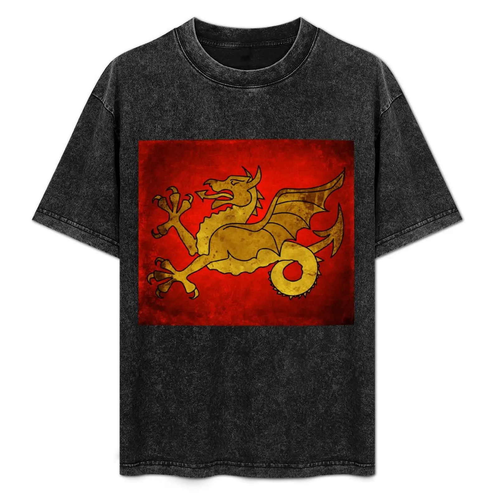 Wyvern Wessex T-Shirt Soft Cotton Print T-Shirt
Wyvern Wessex T-Shirt Soft Cotton Print T-Shirt