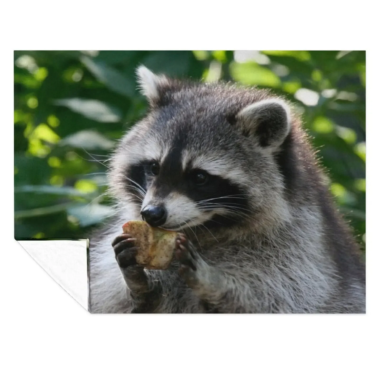 Raccoon 001 Throw Blanket Personalized Gift Soft Big Winter beds Bed covers Blankets
Raccoon 001 Throw Blanket Personalized Gift Soft Big Winter beds Bed covers Blankets