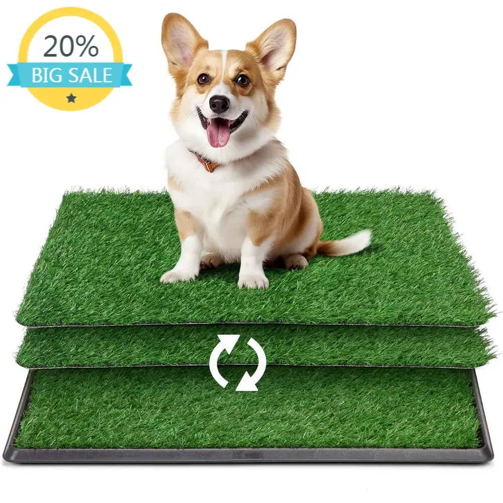 Большой коврик для собак 30x20 см с поддоном, 3 шт. искусственных травяных пеленок, моющийся туалет для животных для использования на балконе
Большой коврик для собак 30x20 см с поддоном, 3 шт. искусственных травяных пеленок, моющийся туалет для животных для использования на балконе