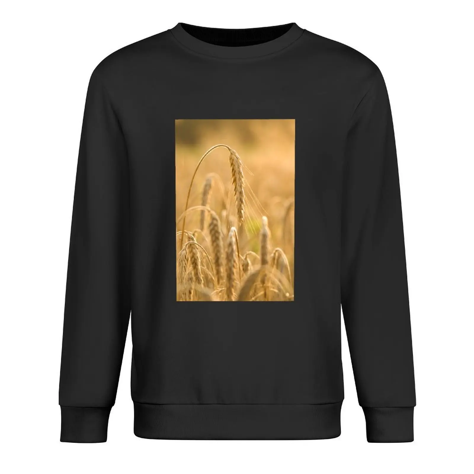 Ear of rye Pullover mens clothing men's clothes men clothing autumn clothes oversize sweatshirt
Ear of rye Pullover mens clothing men's clothes men clothing autumn clothes oversize sweatshirt