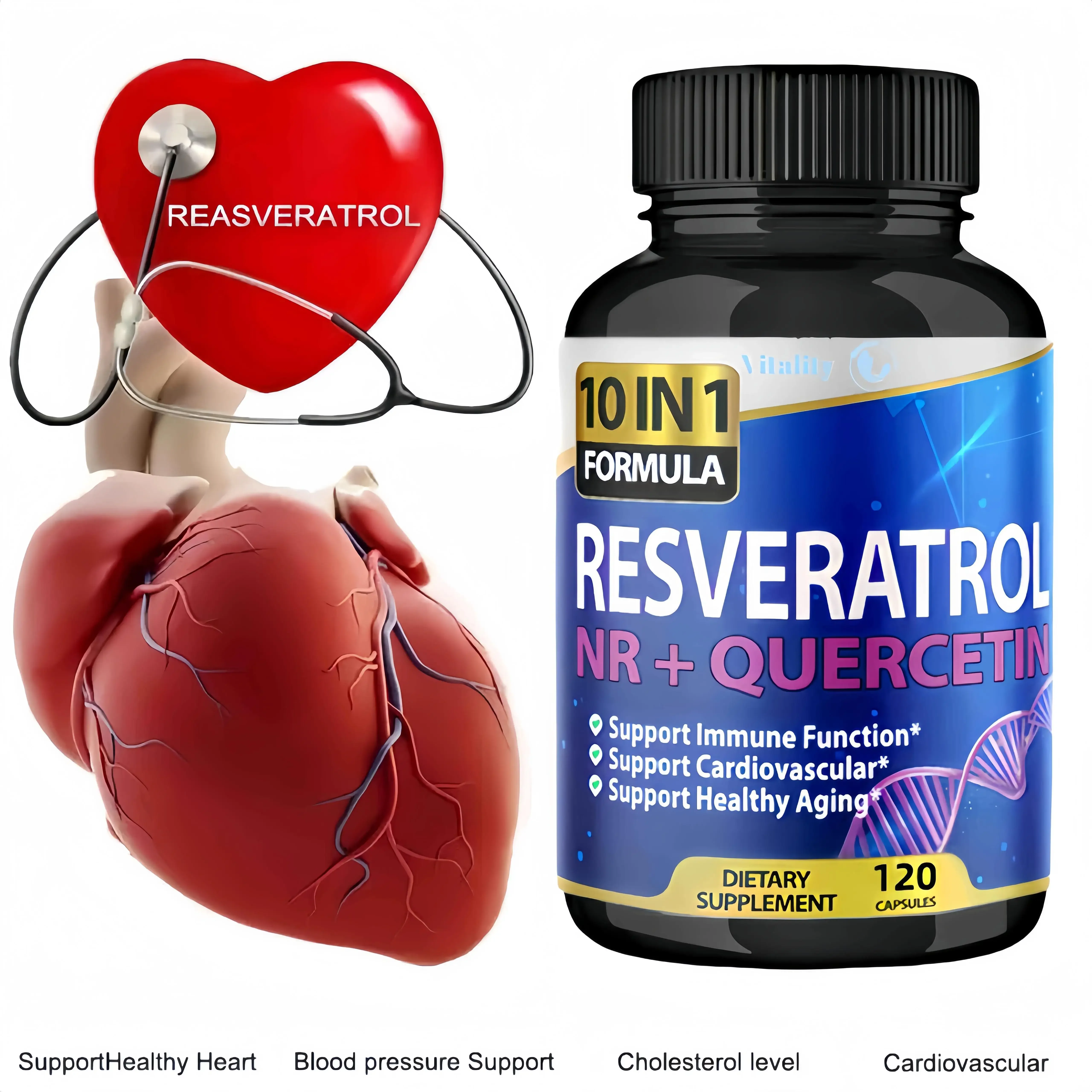 Resveratrol Capsules Support Cardiovascular Health, Antioxidants, Improve Immunity, and Promote Smooth Skin 
Resveratrol Capsules Support Cardiovascular Health, Antioxidants, Improve Immunity, and Promote Smooth Skin