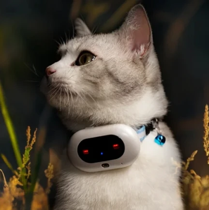 2025 Waterproof GPS Pet Tracker Anti Lost Cat Dog Collar With LED Indicator WIFI GPS Fence Remote App Control Long Battery Life
2025 Waterproof GPS Pet Tracker Anti Lost Cat Dog Collar With LED Indicator WIFI GPS Fence Remote App Control Long Battery Life