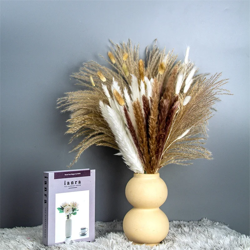 DIY 60Pcs 45Cm Natural Dried Flower Small Pampas Grass Real Bouquet Plant Family Wedding Party Decoration
DIY 60Pcs 45Cm Natural Dried Flower Small Pampas Grass Real Bouquet Plant Family Wedding Party Decoration