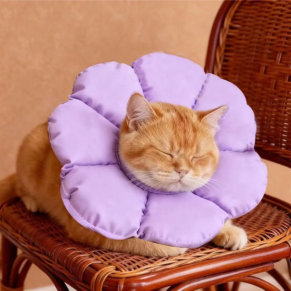 Ultra Light Cat Elizabeth Collar Waterproof Flower Shape Pet Neck Cone Extra Wide Drawstring Dog Protective Head Cover Post Care
Ultra Light Cat Elizabeth Collar Waterproof Flower Shape Pet Neck Cone Extra Wide Drawstring Dog Protective Head Cover Post Care