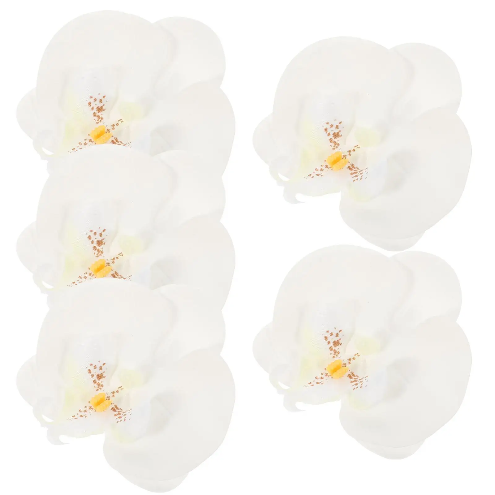 5pcs Artificial Phalaenopsis 8cm White Faux Flowers Craft Material Hair Decoration Mini Accessories Sewing Supplies
5pcs Artificial Phalaenopsis 8cm White Faux Flowers Craft Material Hair Decoration Mini Accessories Sewing Supplies