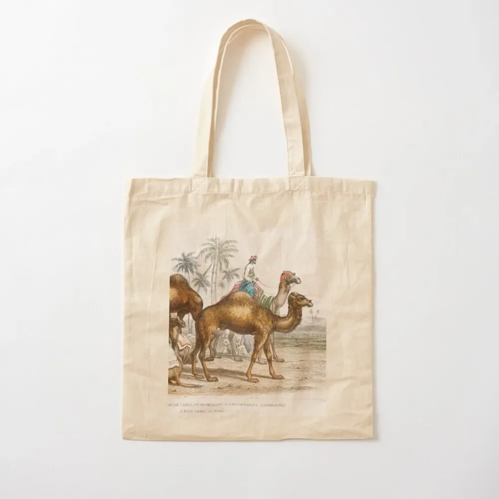 Camels species vintage illustration Tote Bag Eco bag Women's beach bags Women's shopping bag
Camels species vintage illustration Tote Bag Eco bag Women's beach bags Women's shopping bag