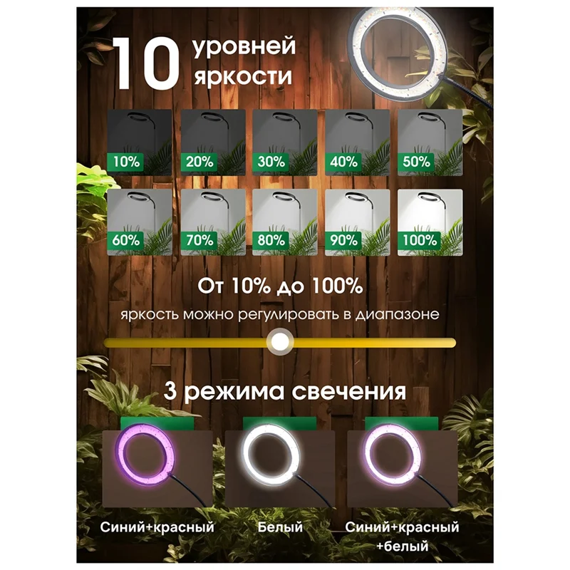 ABGH-Plant Light, Plant Growth Light, Adjustable Height And Angle, Suitable For Indoor Plants
ABGH-Plant Light, Plant Growth Light, Adjustable Height And Angle, Suitable For Indoor Plants