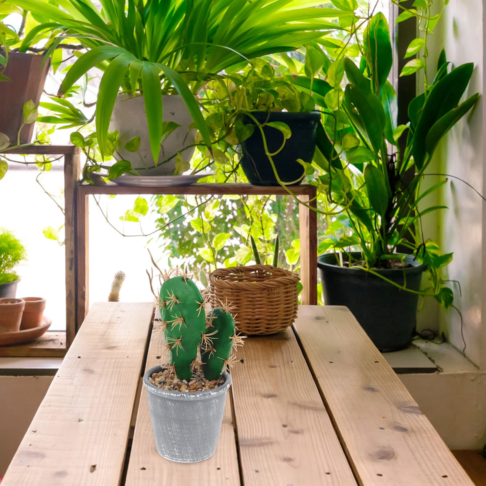 Artificial Cactus Plants Small naments Tropical Faux Indoor Potted Vivid Realistic Desk Bookshelf Living Room Gift Year Round
Artificial Cactus Plants Small naments Tropical Faux Indoor Potted Vivid Realistic Desk Bookshelf Living Room Gift Year Round