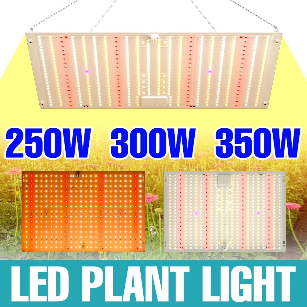 350W LED Full Spectrum Grow Light Quantum Board Plant Fill Lamp 220V Greenhouse Tent Vegs Potted Seedings Cultivation Lighting
350W LED Full Spectrum Grow Light Quantum Board Plant Fill Lamp 220V Greenhouse Tent Vegs Potted Seedings Cultivation Lighting