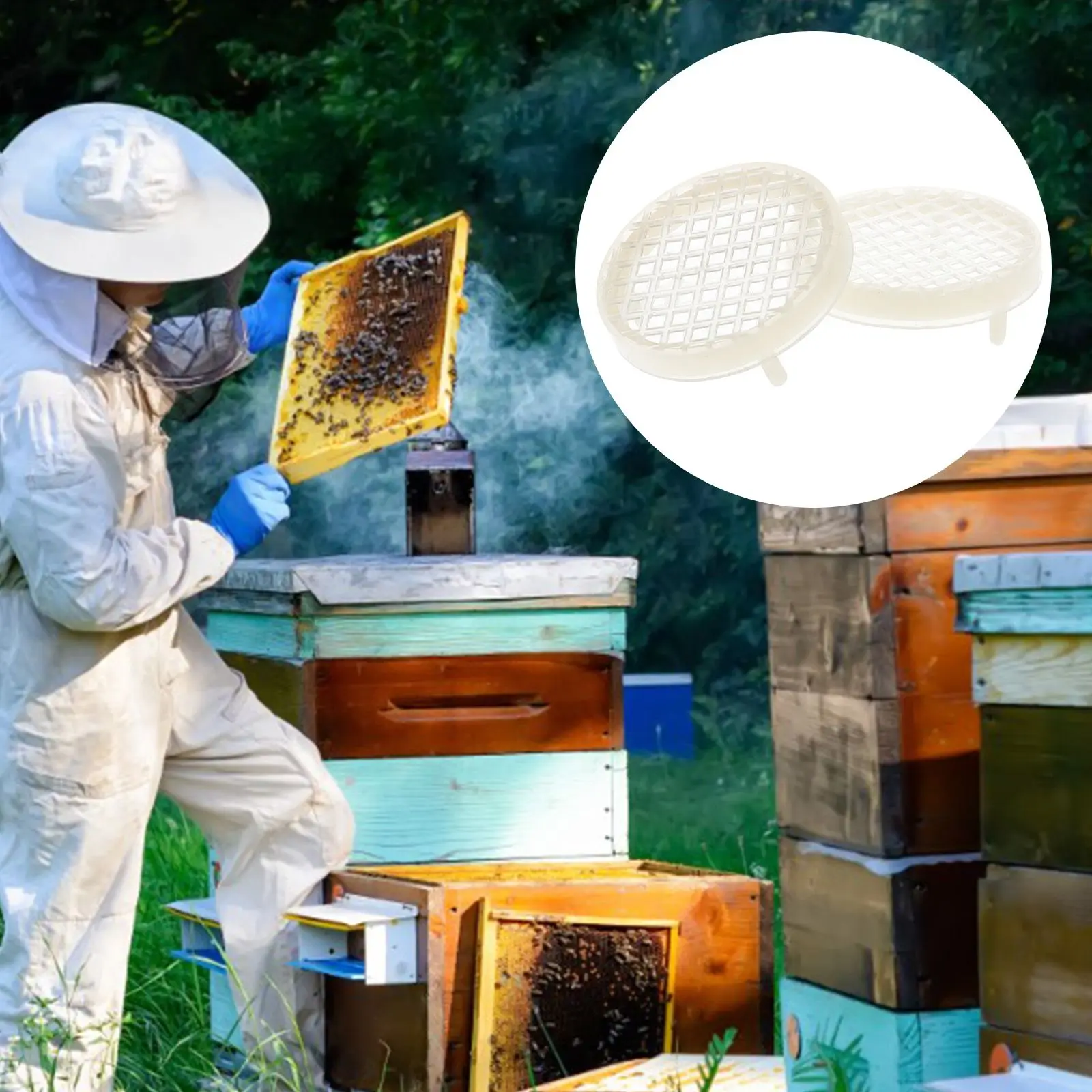 5 Pcs Queen Cage Controller Bee Spawning Equipment Plastic Panel Kit Honeycomb Rearing Supplies Beekeeping Tools Practical
5 Pcs Queen Cage Controller Bee Spawning Equipment Plastic Panel Kit Honeycomb Rearing Supplies Beekeeping Tools Practical