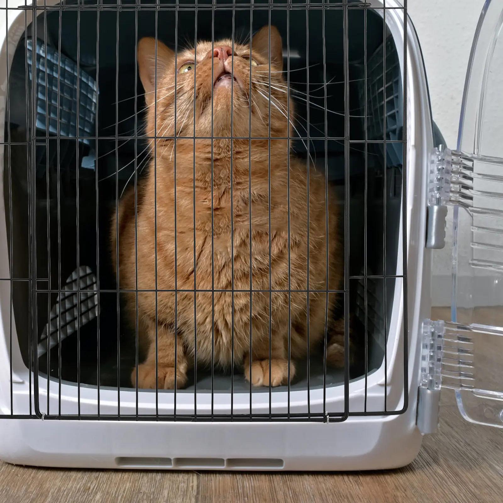 Съемная металлическая сетчатая панель-дверца для кошачьих вольеров, кроличьих клеток и вольеров для мелких животных, обеспечивающая безопасный вентилируемый вход и выход
Съемная металлическая сетчатая панель-дверца для кошачьих вольеров, кроличьих клеток и вольеров для мелких животных, обеспечивающая безопасный вентилируемый вход и выход