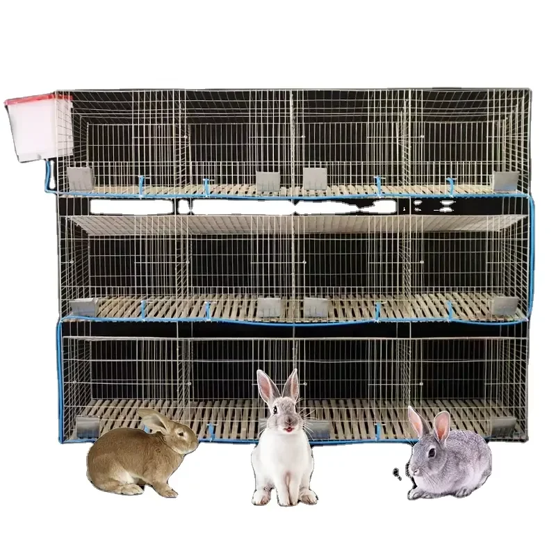 GREAT FARM 12 Doors Industrial Rabbit Cages / Rabbit Cages for Sale Stackable Breeding Rabbits Commercial 3 Tier 12 Holes
GREAT FARM 12 Doors Industrial Rabbit Cages / Rabbit Cages for Sale Stackable Breeding Rabbits Commercial 3 Tier 12 Holes