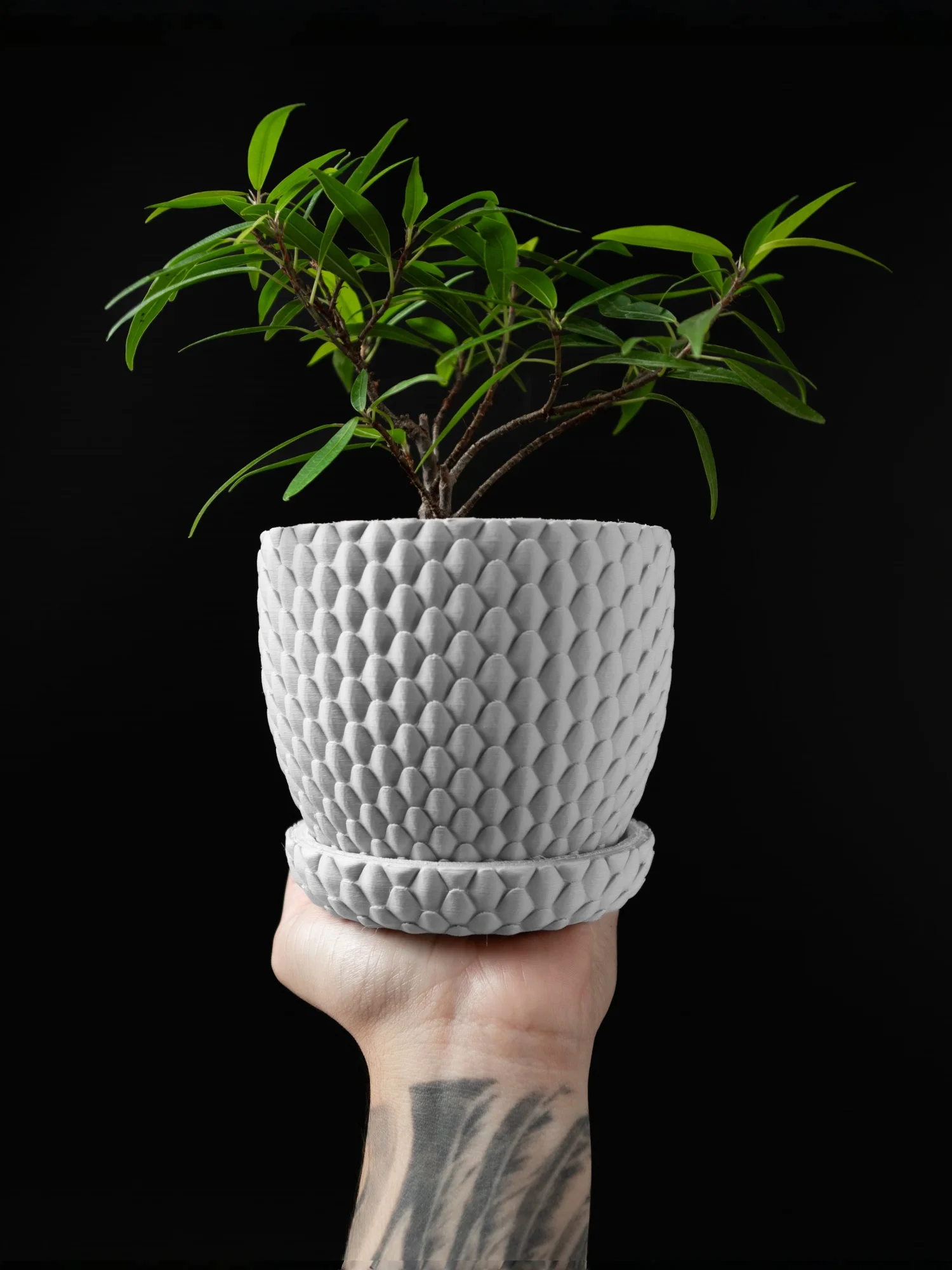 Modern Minimalist 3D Printed Plant Pot ,Biodegradable Flower Planter for Home Decor, Eco-Friendly Sustainable Gift (Dragonscale
Modern Minimalist 3D Printed Plant Pot ,Biodegradable Flower Planter for Home Decor, Eco-Friendly Sustainable Gift (Dragonscale