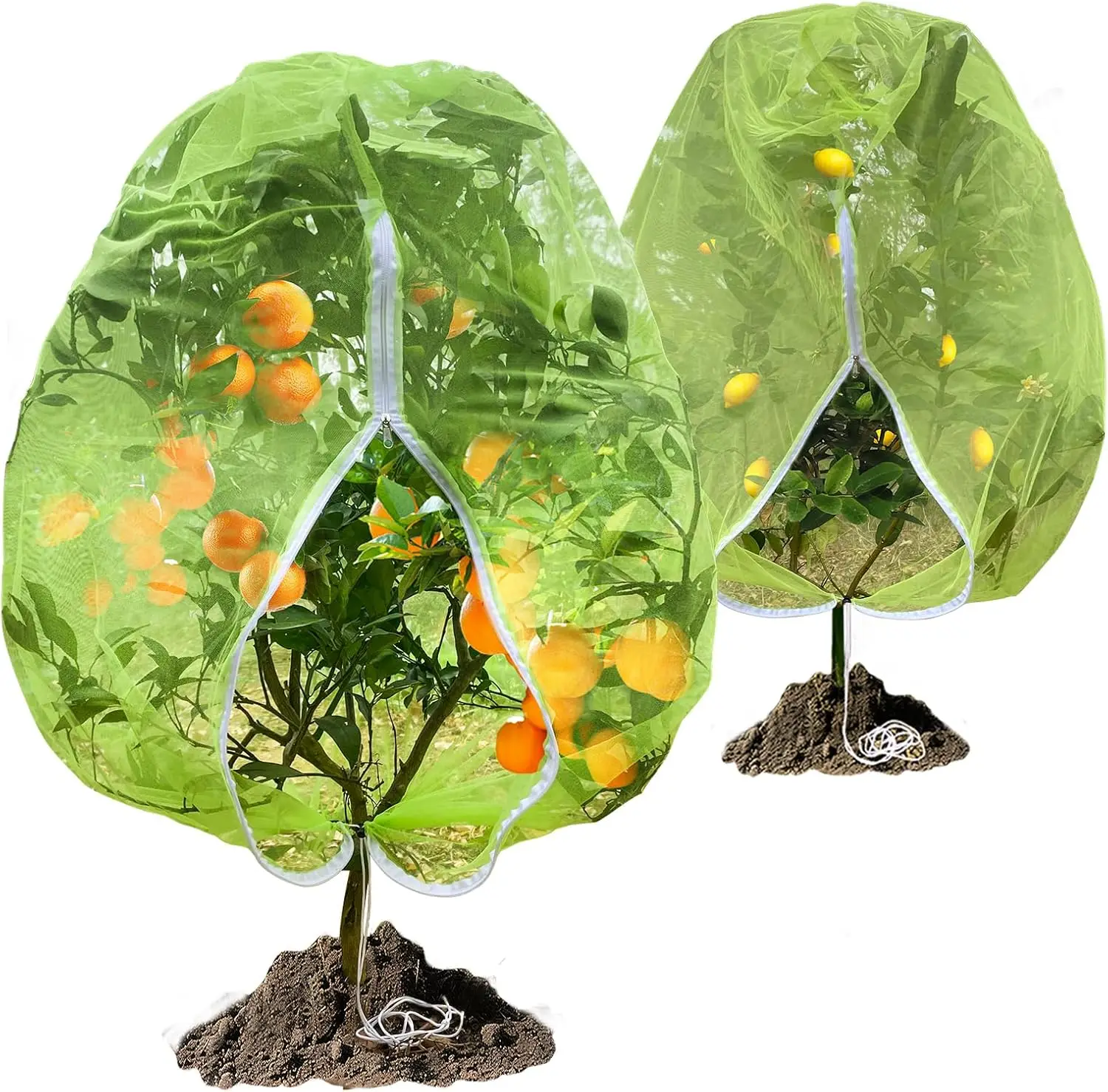 Сетка для фруктовых деревьев, RIFNY, большая, 7 x 6 футов, сетка для голубики с молнией и шнурком, уличная москитная сетка для сада
Сетка для фруктовых деревьев, RIFNY, большая, 7 x 6 футов, сетка для голубики с молнией и шнурком, уличная москитная сетка для сада