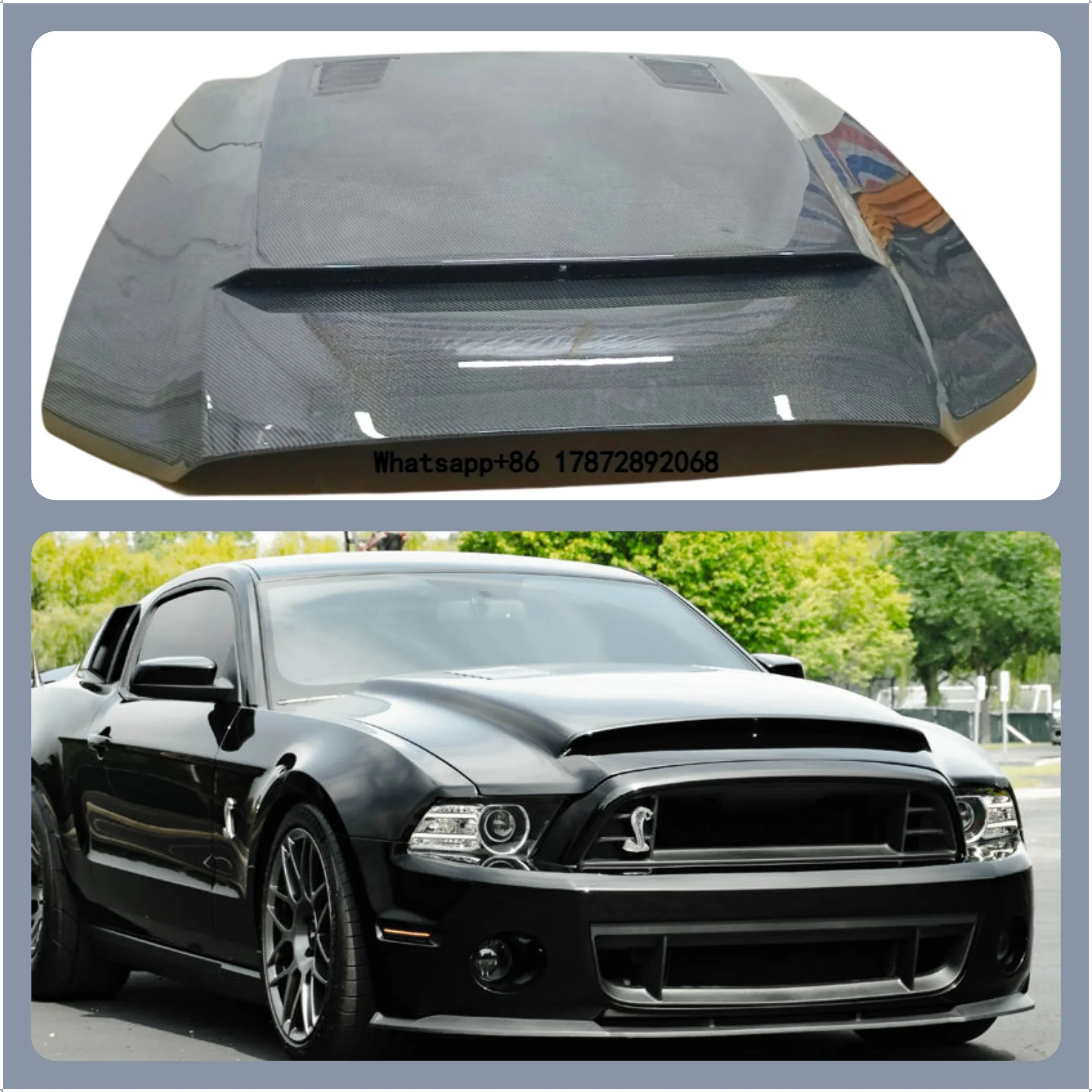 Mustang Carbon Fiber Engine Casing Hood for 2013
Mustang Carbon Fiber Engine Casing Hood for 2013