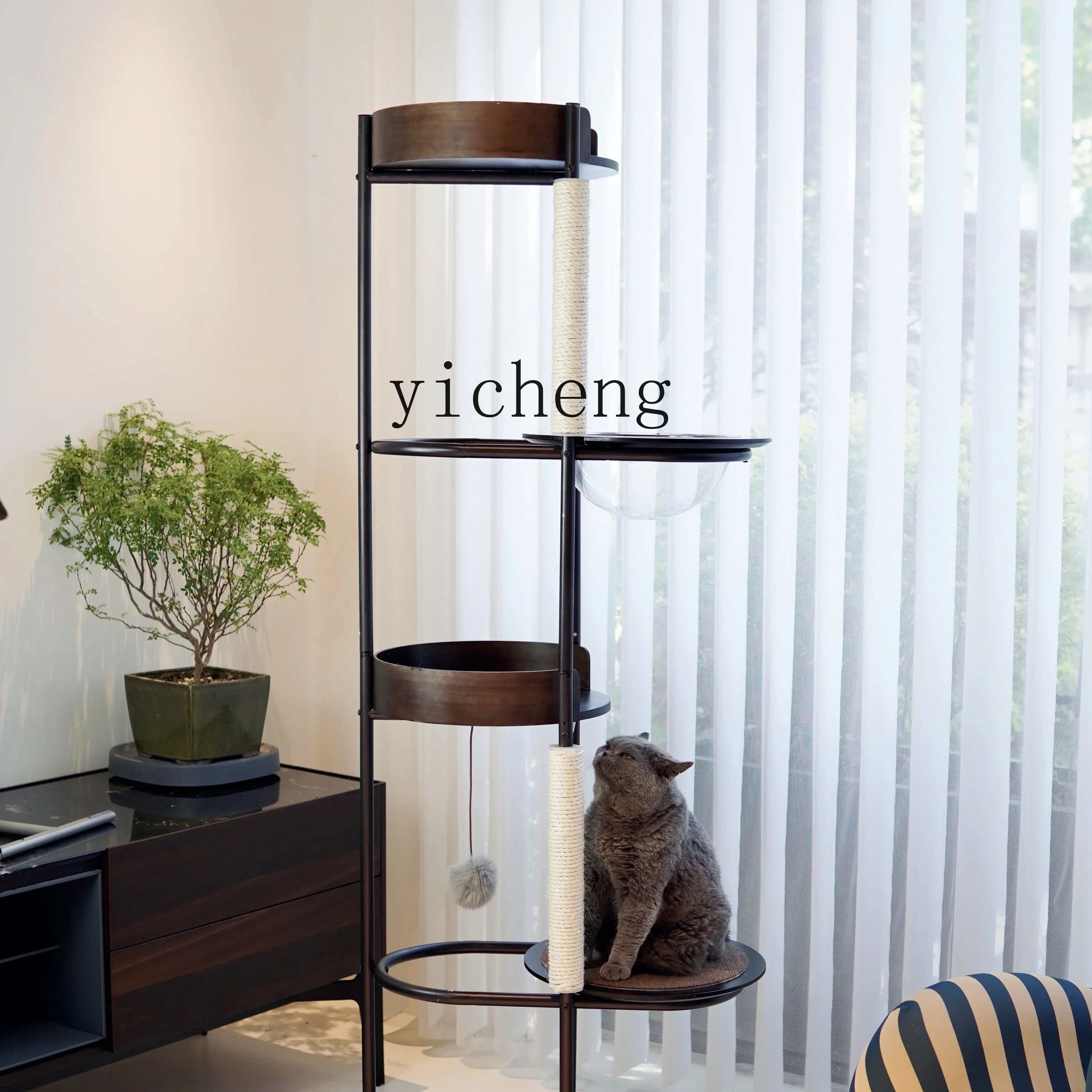 H20- Minimalist Cat Climbing Frame Solid Wood Climbing Frame Cat Nest Integrated Elevation Cat Tree
H20- Minimalist Cat Climbing Frame Solid Wood Climbing Frame Cat Nest Integrated Elevation Cat Tree