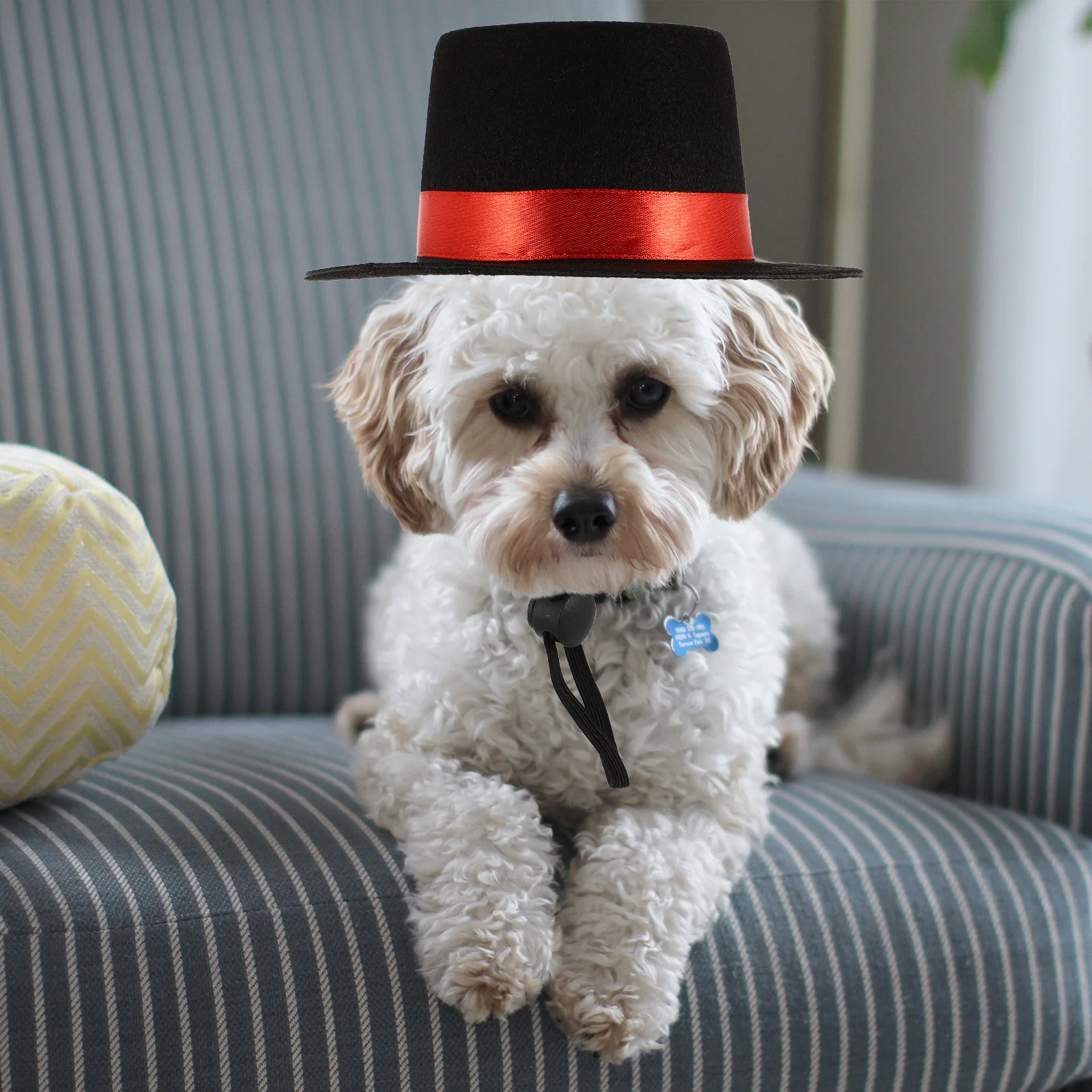 Pet Magician Fabric Crochet Top Hat for Cats Dogs Birthday Halloween Costume Lovely Pet Costume Company Tops Tops Hat
Pet Magician Fabric Crochet Top Hat for Cats Dogs Birthday Halloween Costume Lovely Pet Costume Company Tops Tops Hat