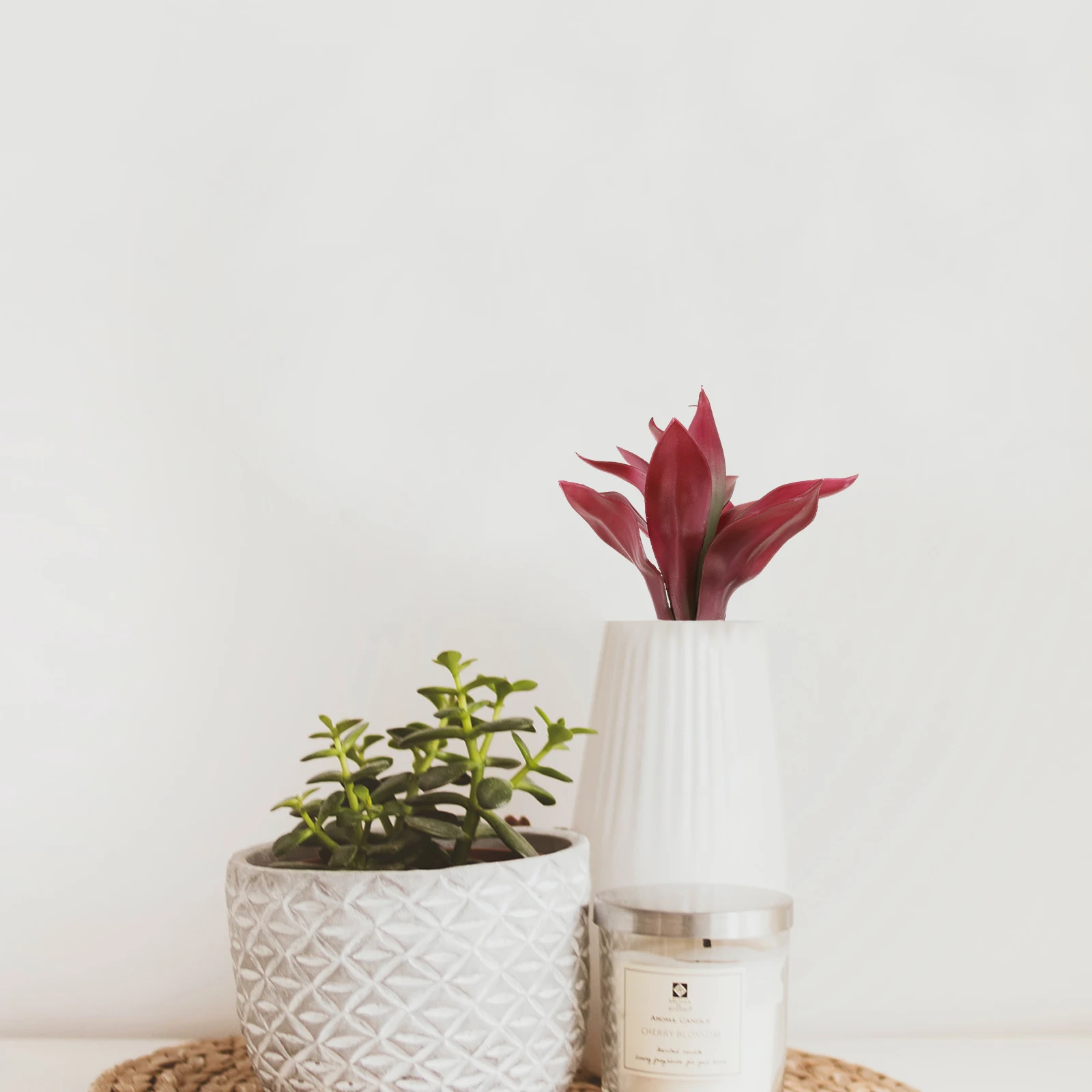 1pc Artificial Plastic Fake Succulent Plant Faux Succulent For Home Office Decor Realistic Fake Plant Ornament
1pc Artificial Plastic Fake Succulent Plant Faux Succulent For Home Office Decor Realistic Fake Plant Ornament