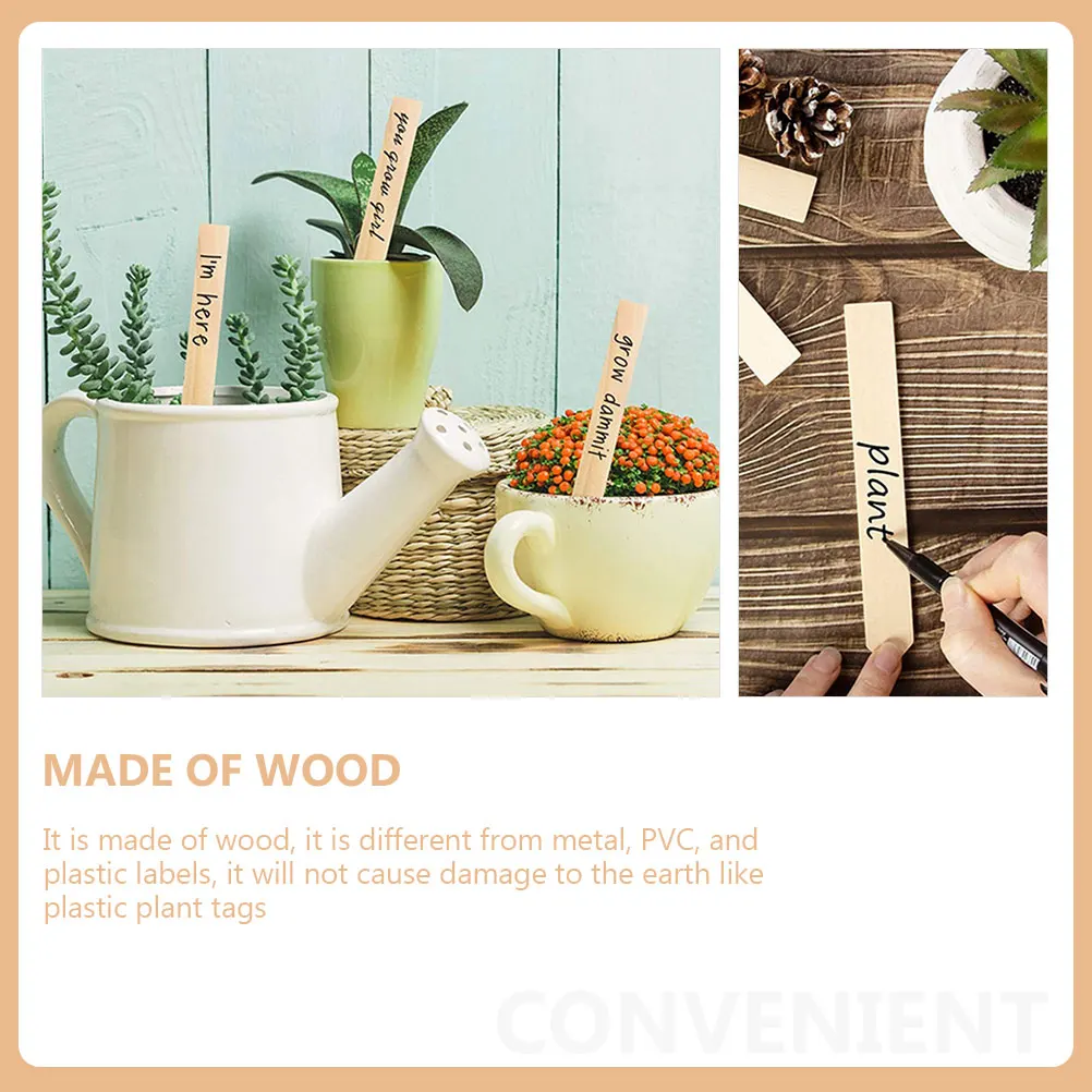 50pcs Wooden Plant Labels Eucalyptus Blank Signs for Garden Markers Pot Tags Vegetable Category Lawn naments Flower Boards
50pcs Wooden Plant Labels Eucalyptus Blank Signs for Garden Markers Pot Tags Vegetable Category Lawn naments Flower Boards