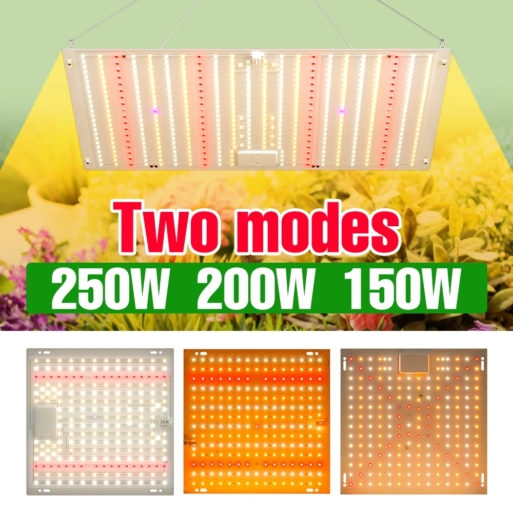 250W LED Indoor Grow Lamp Full Spectrum Plant Light 100-277V Quantum Board Seeds Cultivation Lamps Greenhouse Tent Fill Lighting
250W LED Indoor Grow Lamp Full Spectrum Plant Light 100-277V Quantum Board Seeds Cultivation Lamps Greenhouse Tent Fill Lighting