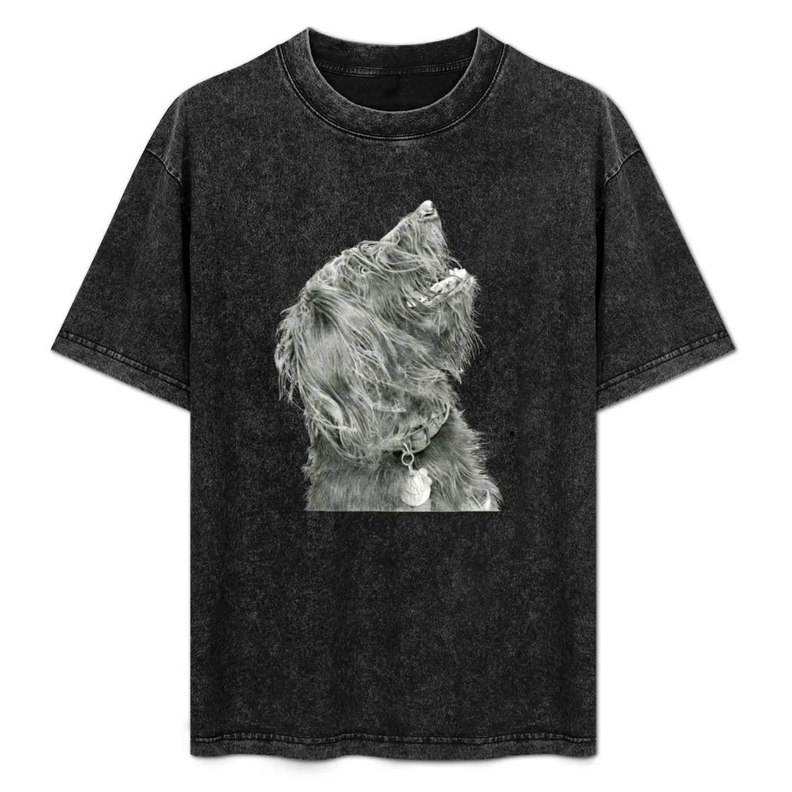Phoebe T-Shirt Comfortable Workout Short Sleeve Shirt
Phoebe T-Shirt Comfortable Workout Short Sleeve Shirt